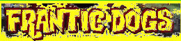 Frantic Dogs HK A